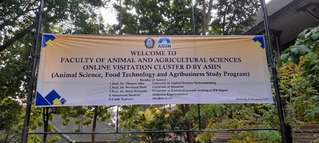 asciin