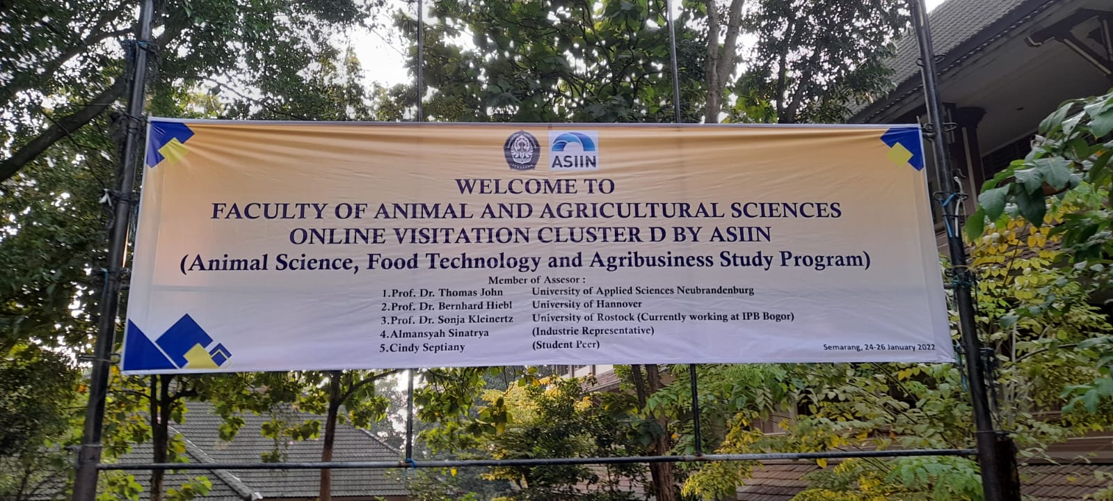asciin