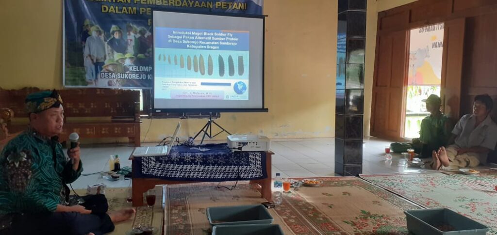 FPP UNDIP Latih Budidaya Maggot untuk Pakan Lele dan Ternak di Desa Sukorejo